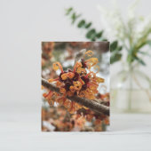 Carte postale hiver Feu (Debout devant)