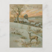 Carte Postale Hiver Field Deer Church Neige (Devant)