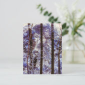 Carte Postale Hiver Forêt gelée Matin Suisse (Debout devant)