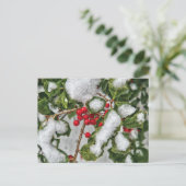 Carte Postale Hiver - Glacé Holly (Debout devant)