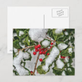 Carte Postale Hiver - Glacé Holly (Devant / Derrière)