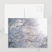 Carte Postale Hiver Matin Neige Branches gelées Nature (Devant / Derrière)