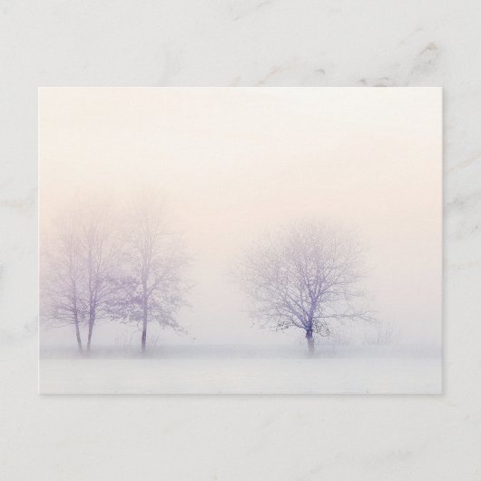 Carte Postale Hiver paisible (Devant)