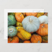 CARTE POSTALE HIVER SQUASH (Devant / Derrière)