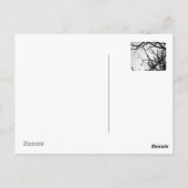 Carte Postale Hiver tropical (Dos)