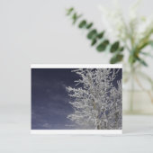 Carte postale hivernale (Debout devant)