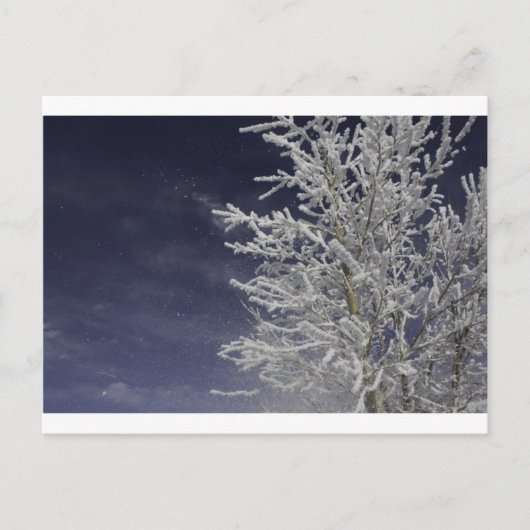 Carte postale hivernale (Devant)