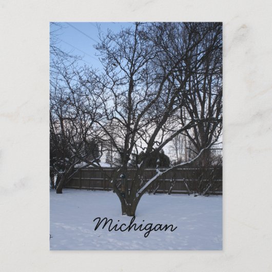 Carte postale hivernale du Michigan (Devant)