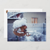 Carte postale hivernale d'un elfe de maïs (Devant / Derrière)