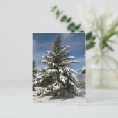 Carte Postale Hivers à venir (Debout devant)