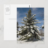 Carte Postale Hivers à venir (Devant / Derrière)