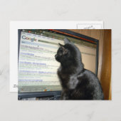 Carte Postale Hmmmmmm.... (Devant / Derrière)