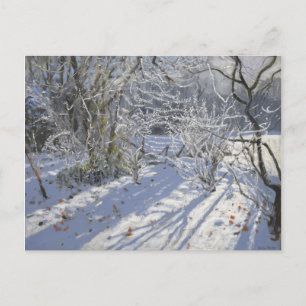 Carte Postale Hoar frost Markeaton Derby.UK.2012