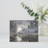 Carte Postale Hoarfrost le long d'une pente à l'île Kelly (Debout devant)