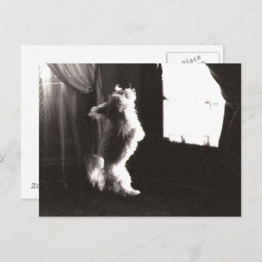 Carte postale Hobbitt (Devant / Derrière)