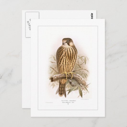 Carte Postale Hobby (Devant / Derrière)