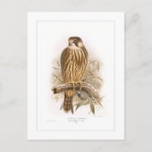 Carte Postale Hobby (Devant)