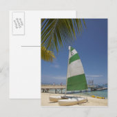 Carte Postale Hobie Cat, Plantation Island (Devant / Derrière)