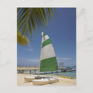 Carte Postale Hobie Cat, Plantation Island