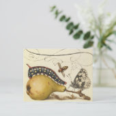 Carte Postale Hoefnagel Vintage Poire & Insectes 1500 Renaissanc (Debout devant)