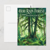 Carte Postale Hoh Rain Forest Washington (Devant / Derrière)