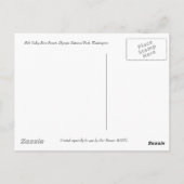 Carte postale Hoh Valley Rain Forest (Dos)