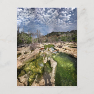 Carte Postale Hole Flats de Dog Campbell Barton Creek Austin Tex