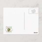 Carte Postale Holes Saumons d'Albany (Dos)