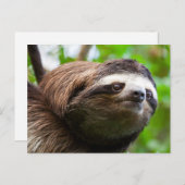 Carte postale Holiday du profil Sloth (Devant / Derrière)