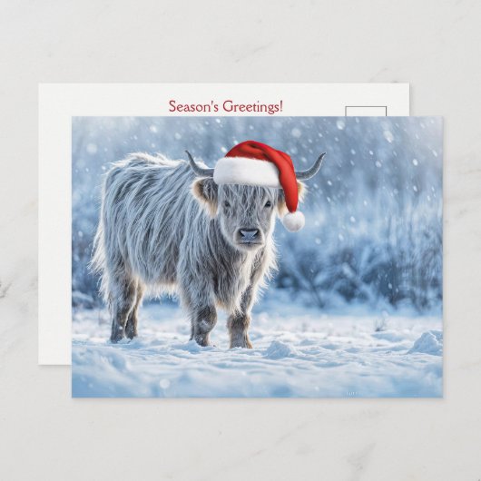 Carte Postale Holiday Highland Calf in the Snow Cute (Devant / Derrière)