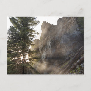 Carte Postale Holland Falls   Forêt nationale de Lolo, Montana