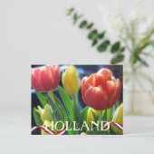 Carte postale Holland Red and Yellow Spring Tulips (Debout devant)