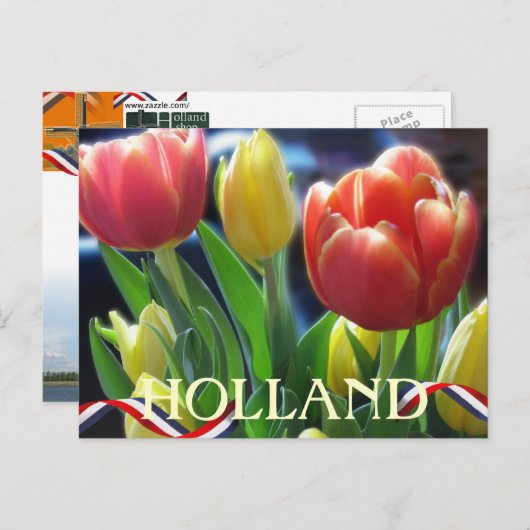 Carte postale Holland Red and Yellow Spring Tulips (Devant / Derrière)