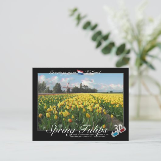 Carte Postale Holland Spring Tulips Paysage 3D Anaglyph (Debout devant)
