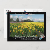 Carte Postale Holland Spring Tulips Paysage 3D Anaglyph (Devant / Derrière)