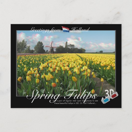 Carte Postale Holland Spring Tulips Paysage 3D Anaglyph (Devant)