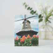 Carte Postale Holland Tulip Time Flowers (Debout devant)