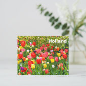 Carte Postale Hollande (Debout devant)