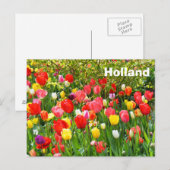 Carte Postale Hollande (Devant / Derrière)