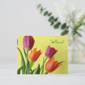 Carte postale Hollande, Tulipes (Debout devant)