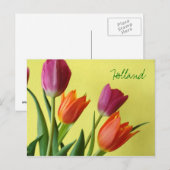 Carte postale Hollande, Tulipes (Devant / Derrière)