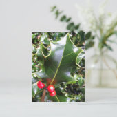 Carte postale Holly (Debout devant)