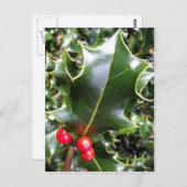 Carte postale Holly (Devant / Derrière)