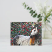 Carte postale "Holly" (Debout devant)