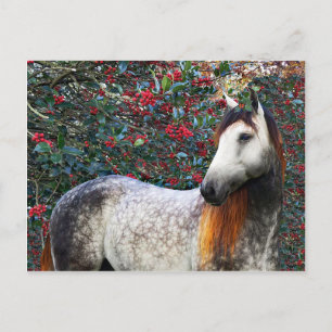 Carte postale "Holly"