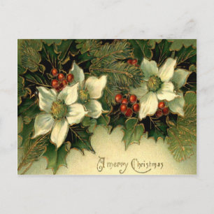 Carte Postale Holly