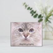 Carte postale Holly (Debout devant)