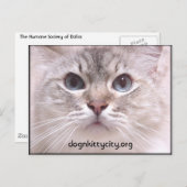 Carte postale Holly (Devant / Derrière)