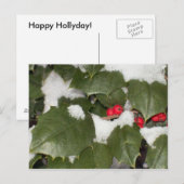 Carte postale Holly (Devant / Derrière)