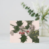 Carte Postale holly berrie (Debout devant)